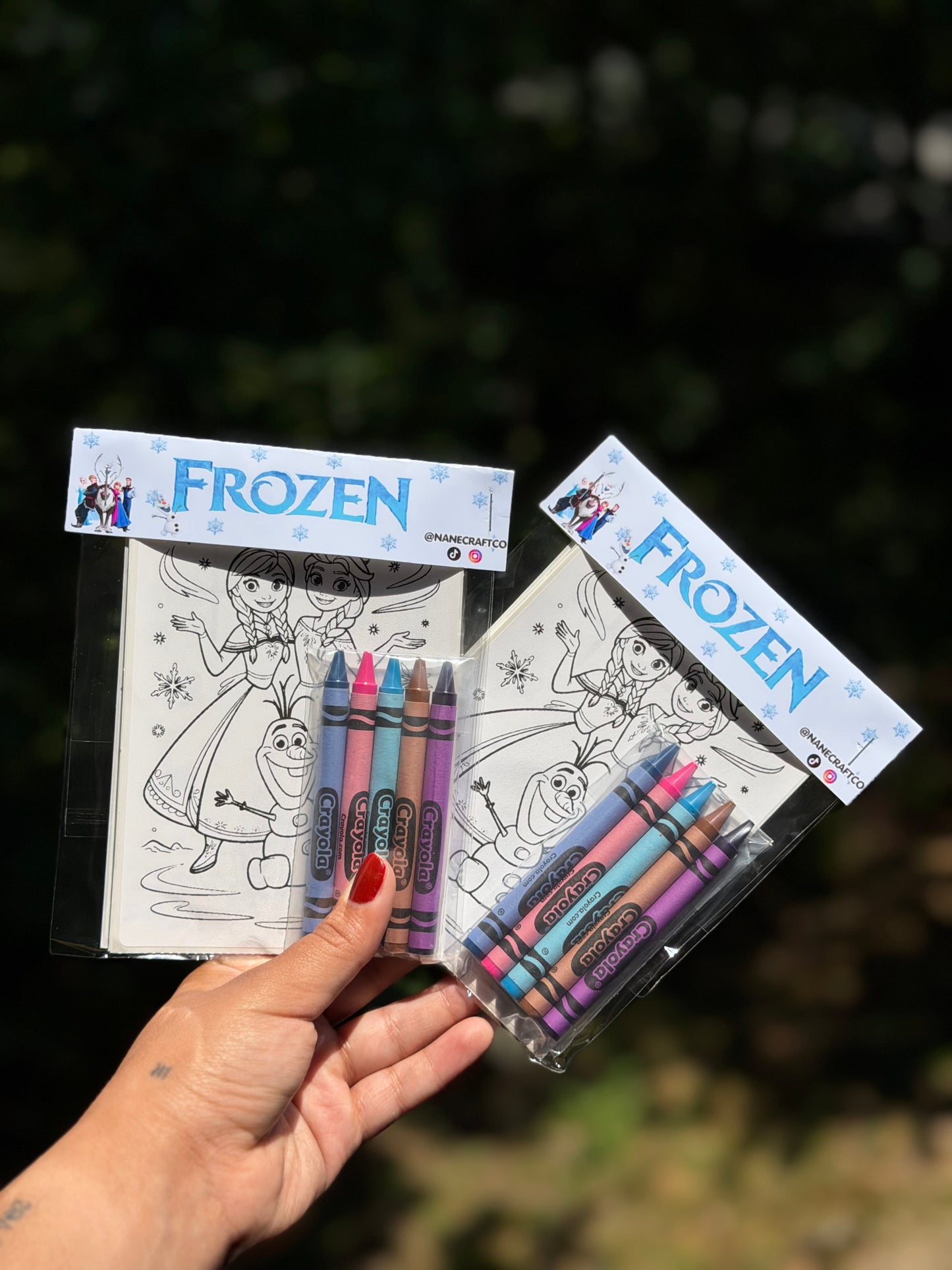 Frozen coloring sticker sheets