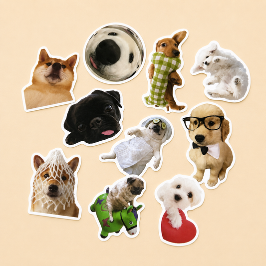 Dog assorted stickers (10)