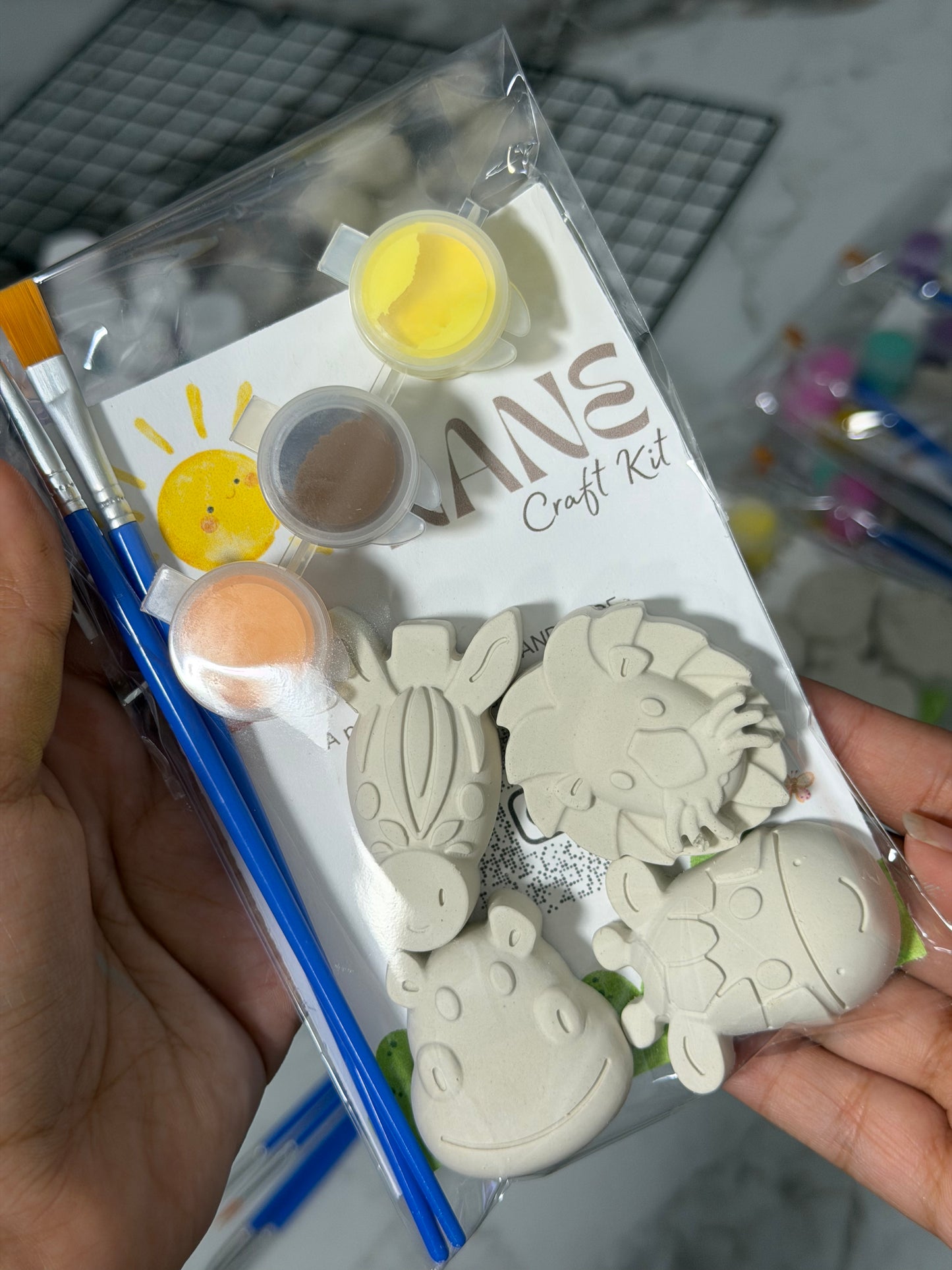 Safari painting craft kit ✨
